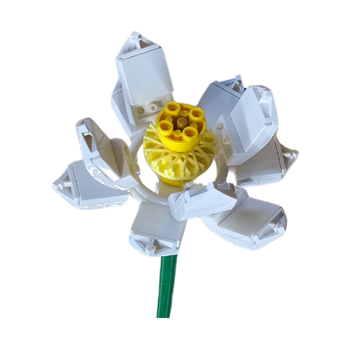 LEGO® Open Lotus White